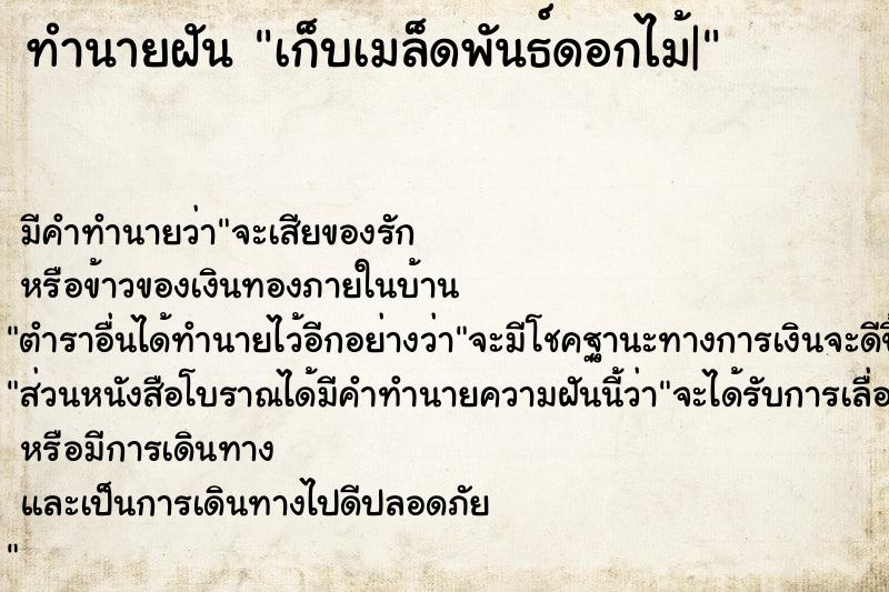 ทำนายฝัน เก็บเมล็ดพันธ์ดอกไม้|